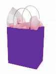 Shopping Bag