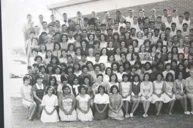 HHS