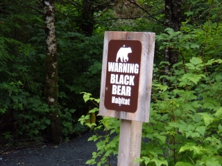 Bear beware.