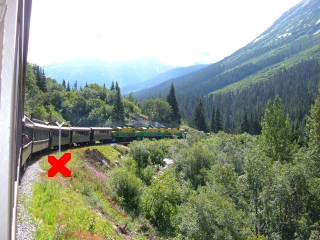 Bear sighting.