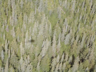 Mountain helicopter view.