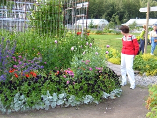 Linda looks at the flower beds.