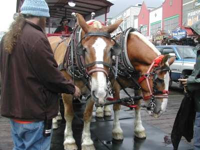 Ketchikan trolley.
