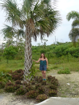 Caribbean Cruise