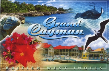 Caribbean Cruise