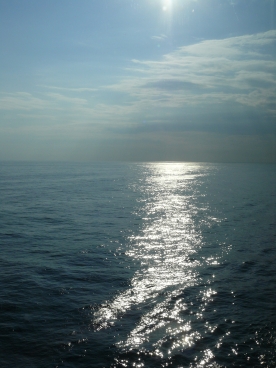 Caribbean Cruise