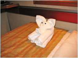 Towel Animals