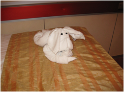 Towel Animals
