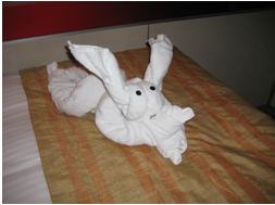 Towel Animals